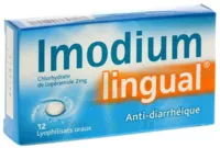 Imodiumlingual 2 Mg Lyophilisat Oral Plq/12 à ESSEY LES NANCY
